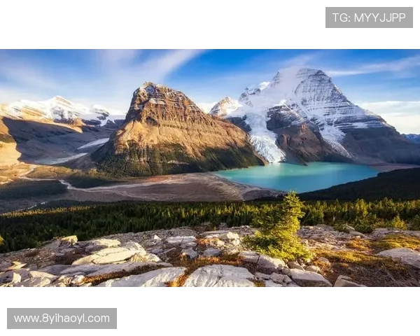 探索加拿大市场：PC预测准确率100%的软件应用与优势